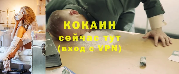 индика Балахна