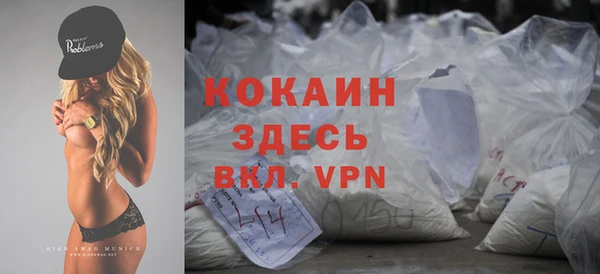 индика Балахна
