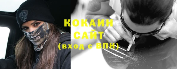 индика Балахна
