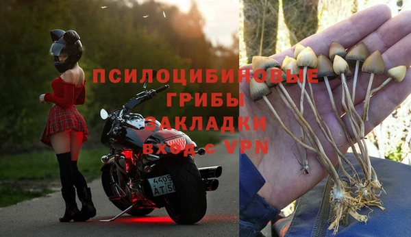 экстази Баксан