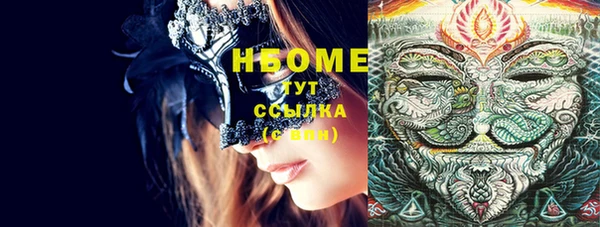 индика Балахна