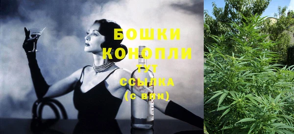 индика Балахна