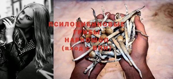 индика Балахна