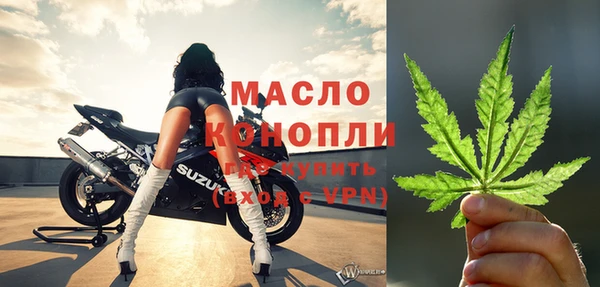 индика Балахна