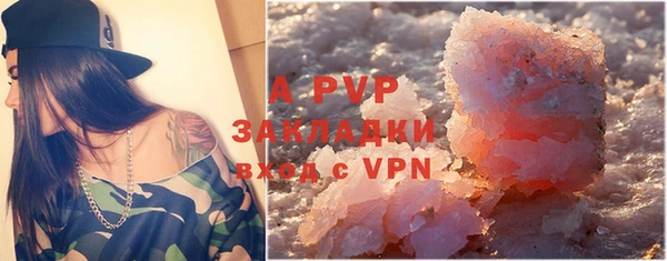индика Балахна