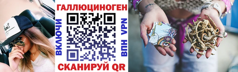 Псилоцибиновые грибы Psilocybe  Гаджиево 
